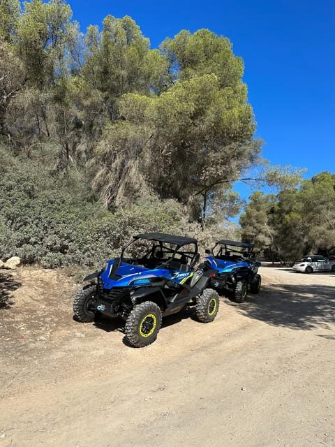 Paguera: 2 Hour Buggy Tour - Key Points