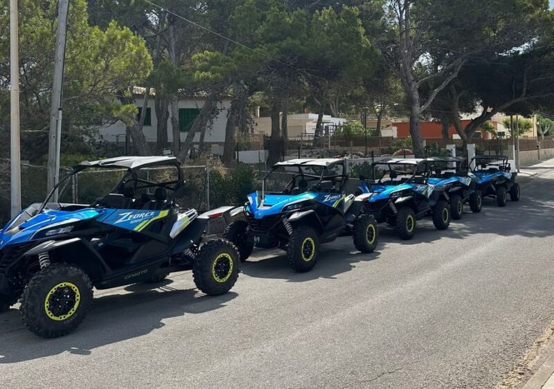 Paguera: 2 Hour Buggy Tour - What to Expect from the Paguera Buggy Tour