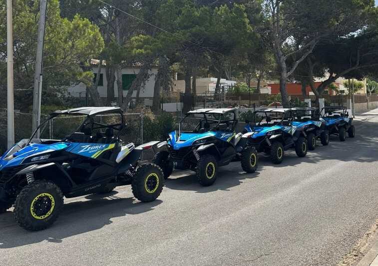 Paguera: 2 Hour Buggy Tour - The Price and Overall Value