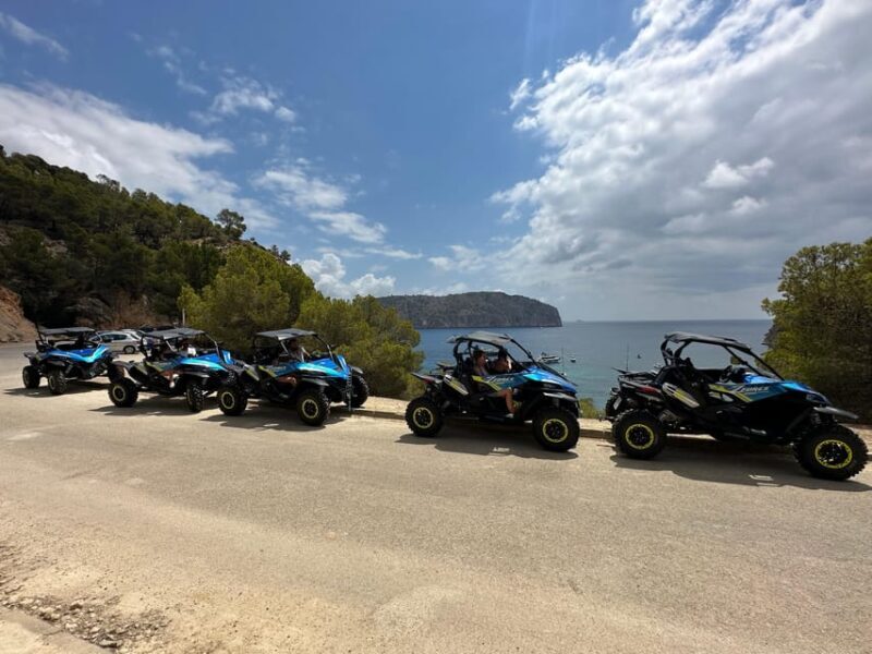 Paguera: 2 Hour Buggy Tour - Who Should Consider This Tour?