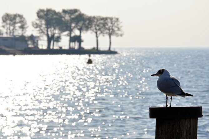 Pagus Wine Tours® - Sirmione by boat and Amarone - Full day tour - A detailed look at what you can expect