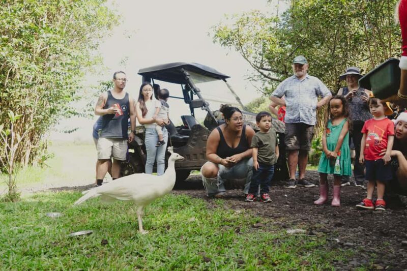 Pahoa: Ranch Tour with Animal Feedings and Interactions - Exploring the Ranch: What to Expect