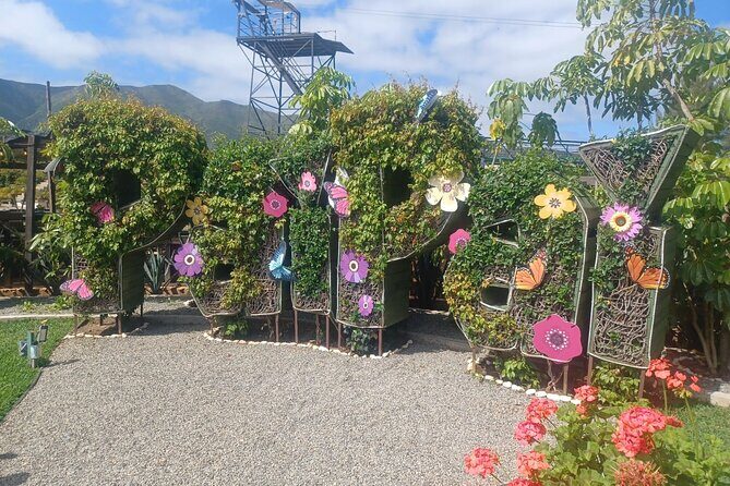 Pai Pai Animal Experience: Private Ride and Ticket Assistance - What Are the Reviews Saying?