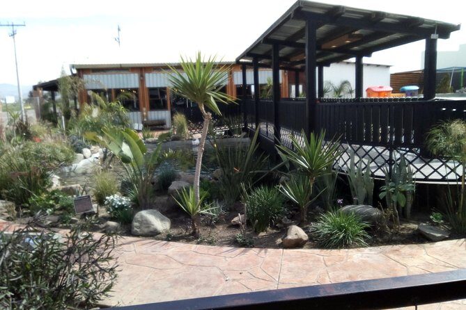 Pai Pai tour - Key Points