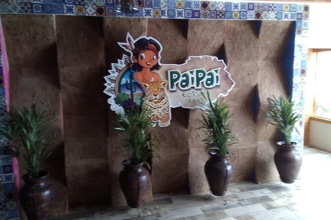 Pai Pai tour - A Deep Dive into the Experience