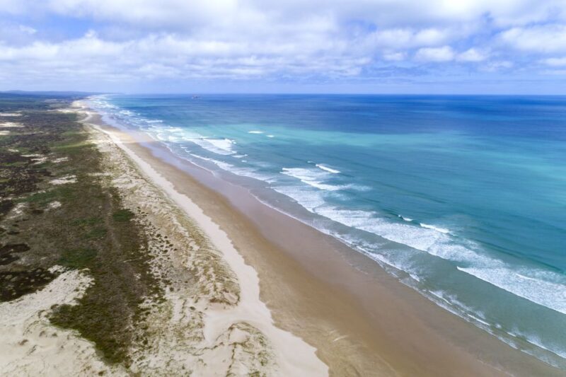 Paihia: Cape Reinga and Ninety Mile Beach Trip with Lunch - Who Will Love This Tour?