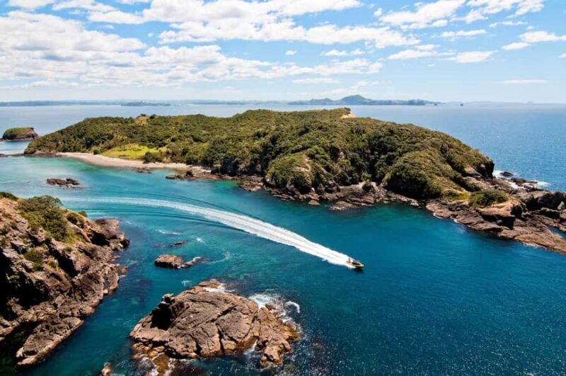 Paihia: Hole in the Rock Fast Boat Ocean Adventure - What We Love About the Experience
