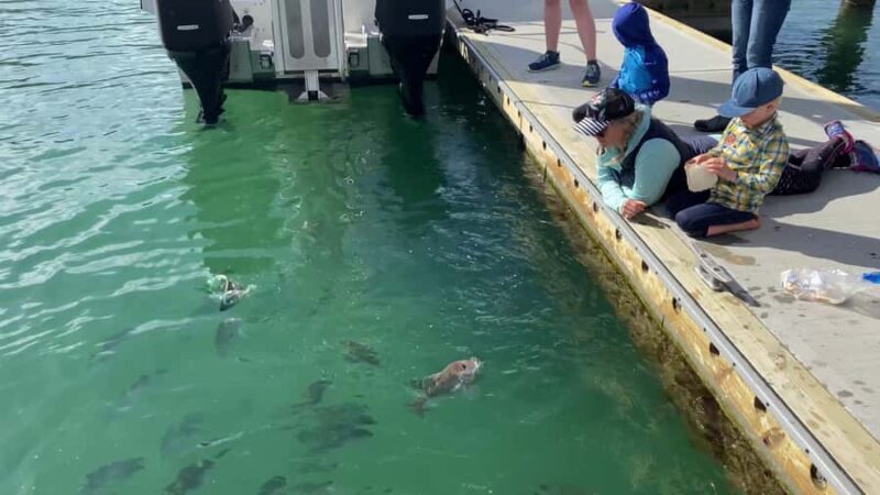 Paihia/Russell: Hole in the Rock Cruise with 2 Island Stops - Practical Tips for Your Trip