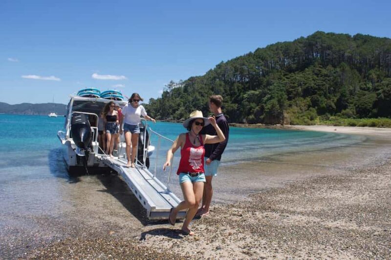 Paihia/Russell: Hole in the Rock Cruise with 2 Island Stops - FAQs
