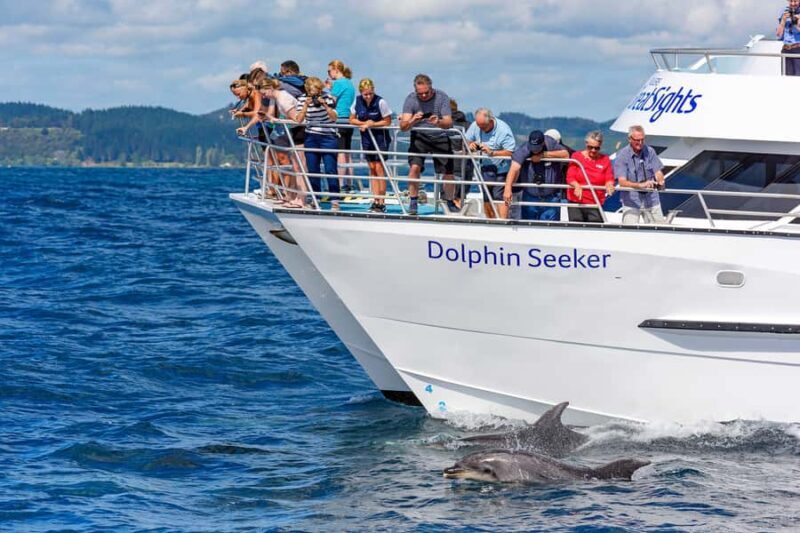 Paihia/Russell: Hole in the Rock, Dolphins & Island Cruise - The Experience in Detail