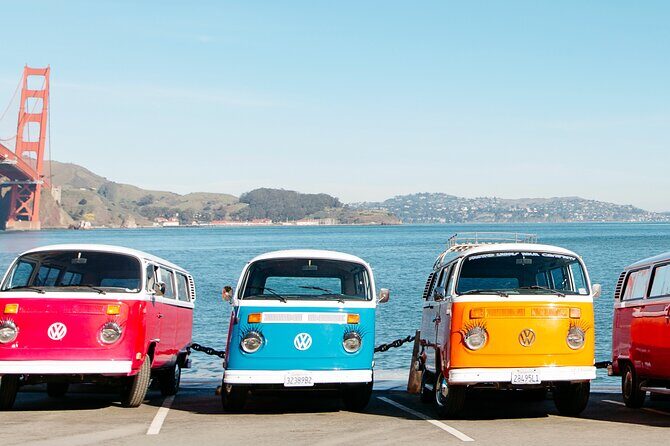 Painted Ladies Private San Francisco Tour - An In-Depth Look at the Painted Ladies Private Tour