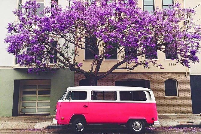 Painted Ladies San Francisco City Tour - Final Thoughts