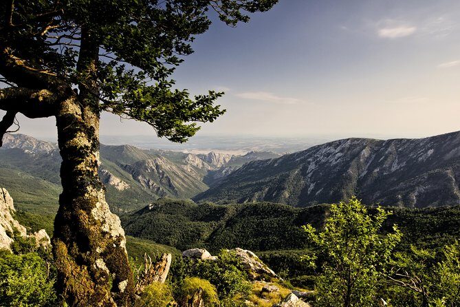 Paklenica National Park Admission Ticket - Why Consider the Paklenica National Park Admission Ticket?