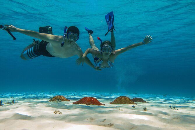 Palancar, Columbia and El Cielo Cozumel Snorkeling Tour - What This Tour Offers