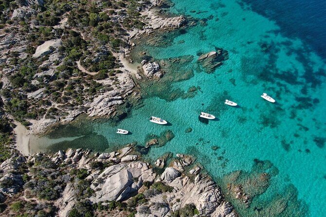 Palau: private RIB tour in La Maddalena Archipelago - An Honest Look at the Palau Private RIB Tour in La Maddalena Archipelago