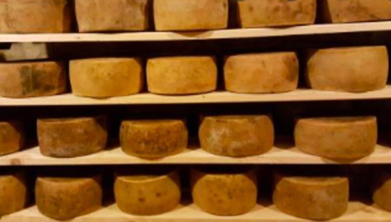 Palazzolo Acreide: Ricotta Cheese and Farm Tour with Tasting - Exploring the Ricotta and Farm Tour in Palazzolo Acreide