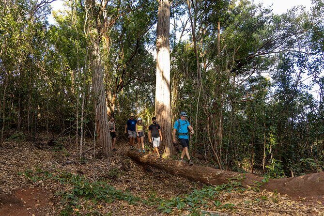 Palehua Hike and West O'ahu Snorkel - Key Points