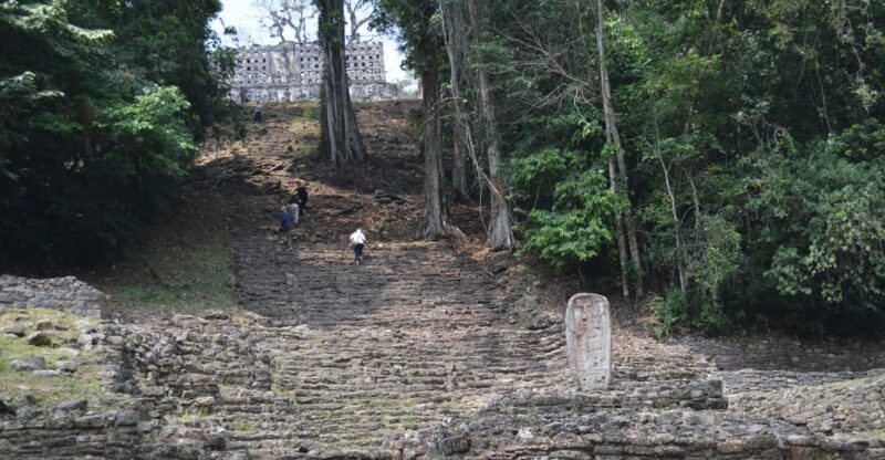 Palenque: 2-Day Lacandon Jungle, Yaxchilan, & Bonampak Trip - What Travelers Say: Honest Feedback