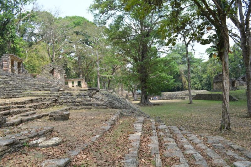 Palenque: 2-Day Lacandon Jungle, Yaxchilan, & Bonampak Trip - Final Thoughts