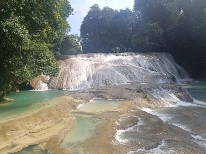 Palenque Archeological zone and Roberto Barrios Waterfalls - A Closer Look at the Tour Experience