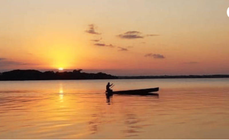 Palenque: Catazajá Lagoon Wildlife Adventure - Key Points