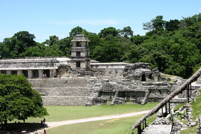 Palenque Maya ruins & swim in Roberto Barrios fresh waters - Value for Money