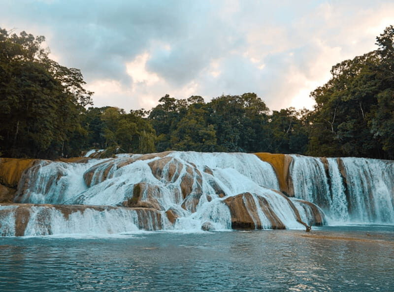 Palenque: Roberto Barrios Waterfall Tour - Final Thoughts
