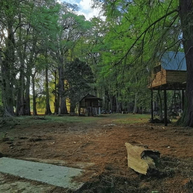 Palenque: Yaxchilan, Bonampak and Lacanja Jungle Adventure - A Closer Look at the Itinerary