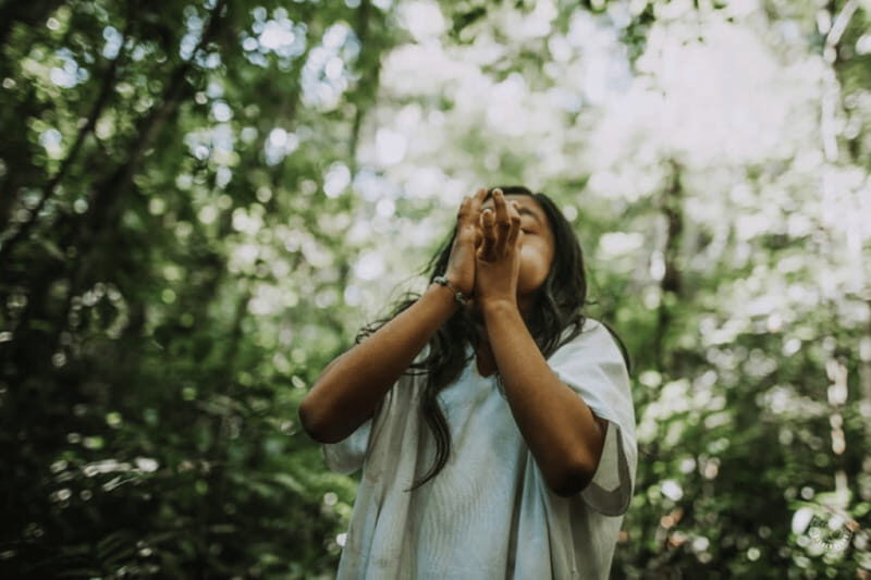 Palenque: Yaxchilan, Bonampak and Lacanja Jungle Adventure - Practical Considerations