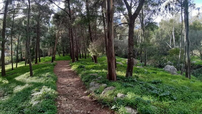 Palermo: Day trip to Monte Pellegrino - The Practical Details and Value