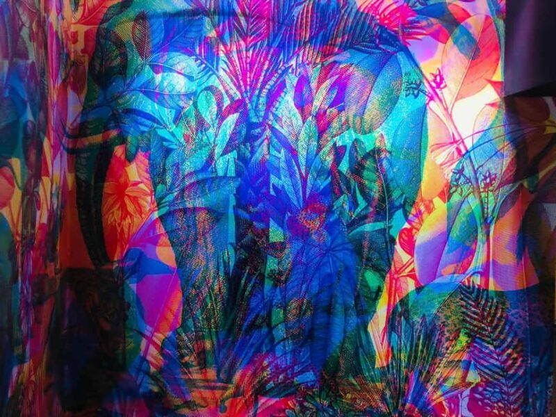 Palermo: Guided walk in the historic center and Museum of Illusions - What Could Be Better?