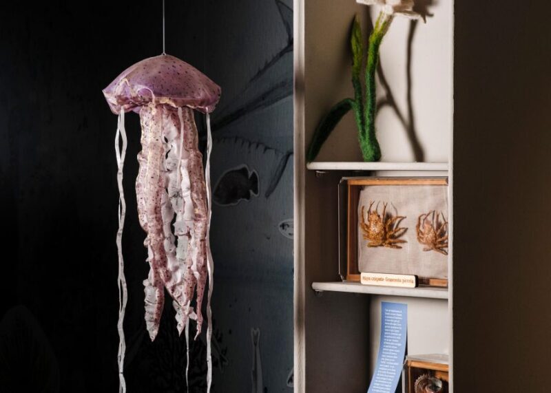 Palermo: sensorial experience of nature and ecology - Key Points