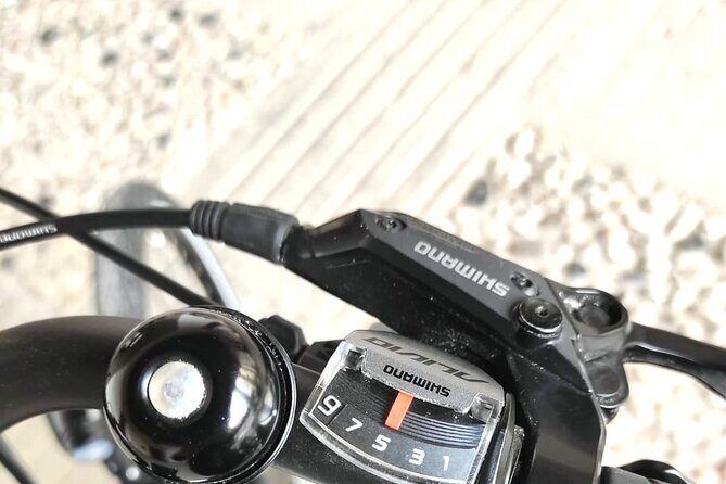 Palladian E-Bike Rental in & around Vicenza - An In-Depth Look at the Palladian E-Bike Experience