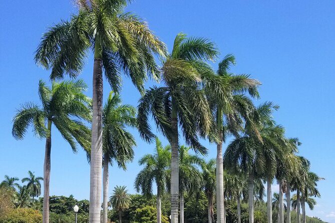 Palm Beach Tour from Miami - Flagler's Museum + Hotel Breakers - Discovering Palm Beach: The Highlights and What to Expect