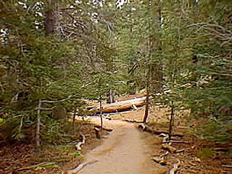 Palm Springs: Aerial Tramway Round-Trip Ticket - An In-Depth Review of the Palm Springs Aerial Tramway