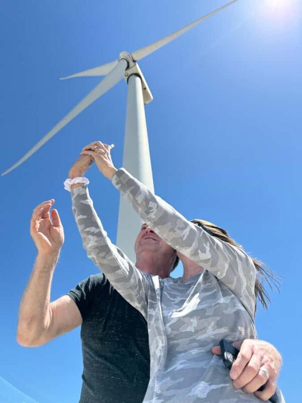 Palm Springs: Guided Golf Cart Windmill Tour - Key Points