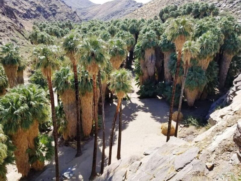 Palm Springs: Indian Canyons Jeep/Hiking Combo Tour - FAQ