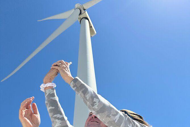 Palm Springs Windmill Guided Tour by Golf Cart - The Itinerary in Detail