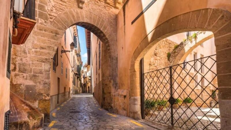 Palma: A Day of Discovery  Cathedral, Culture & Local Cuisine - Who Should Consider This Tour?