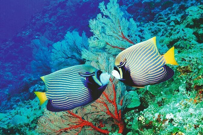 Palma Acquarium with Transfer - FAQs