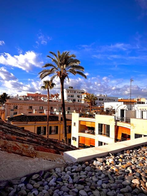 Palma authentically. City tour with snacks and wine - Analyzing the Price and Value