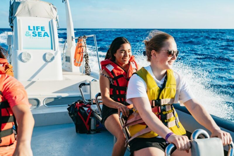 Palma Bay: 1-Hour Speedboat Adventure - The Thrill of the Ride