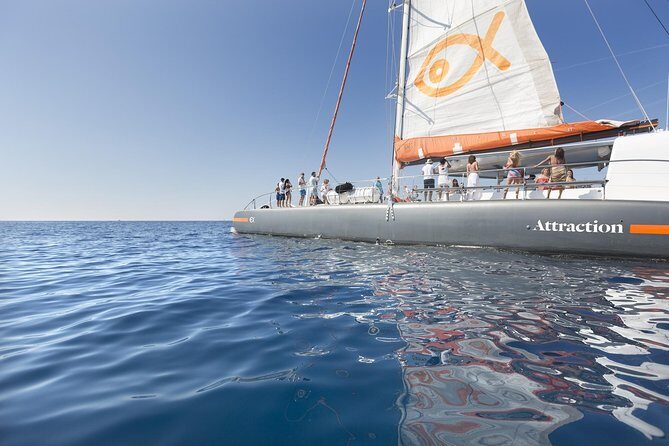 Palma Bay Catamaran Half-Day Cruise - What You Can Expect from the Palma Bay Catamaran Cruise