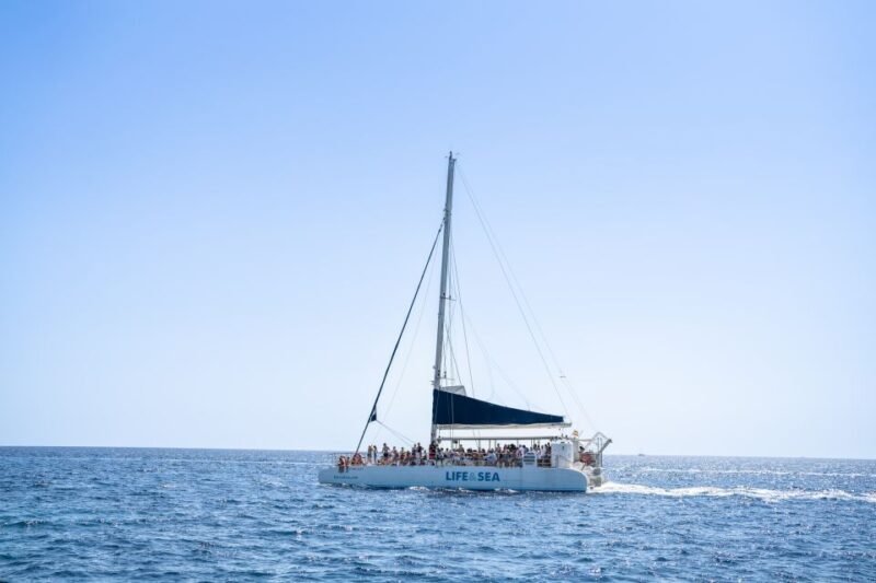 Palma: Catamaran Cruise with Swimming and Snorkelling - Key Points