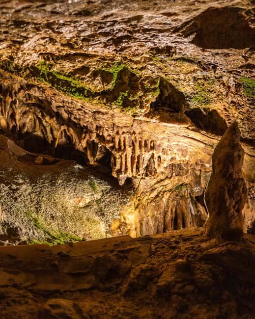 Palma: Caves of Genova Ticket & Digital Audio Guide - What the Tour Feels Like