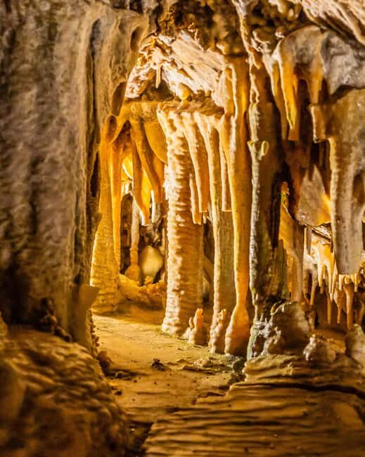 Palma: Caves of Genova Ticket & Digital Audio Guide - Authentic Experiences and Visitor Insights