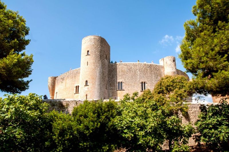 Palma de Mallorca: City Sightseeing Hop-On Hop-Off Bus Tour - Avenida Alexandre Rosselló and Porta des Camp: Transit Between Old and Scenic