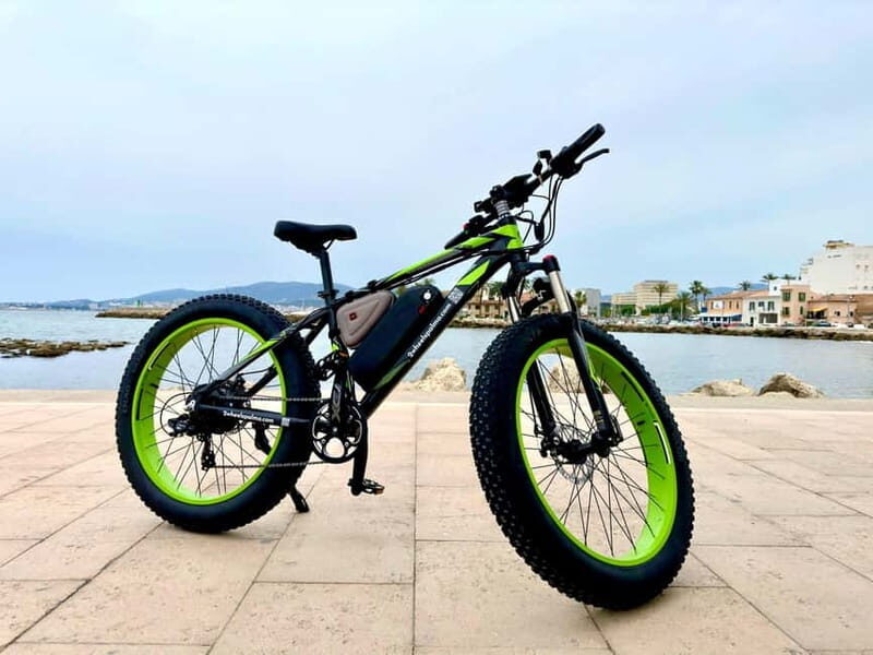 Palma de Mallorca: Exclusive Fat Tire e-Bike Rental - Key Points