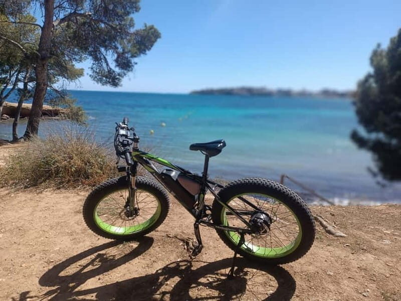 Palma de Mallorca: Exclusive Fat Tire e-Bike Rental - The Balance of Value and Experience