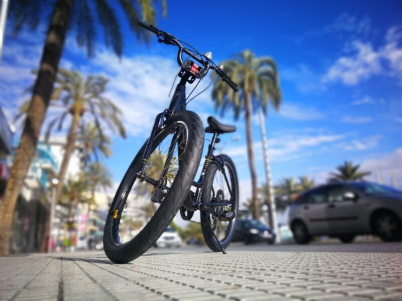 Palma de Mallorca: Guided Bicycle Tour - Mid-Ride Breaks and Flexibility